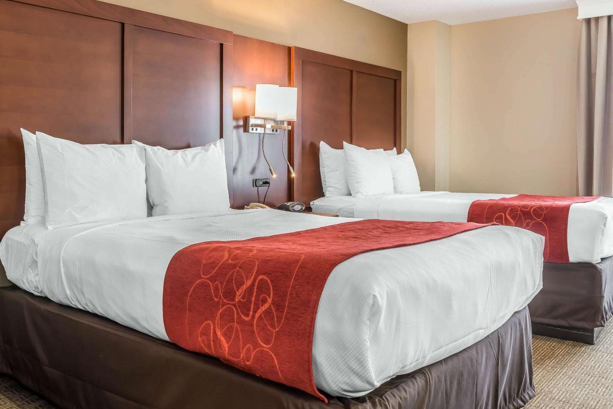 Comfort Suites Springfield Ngoại thất bức ảnh