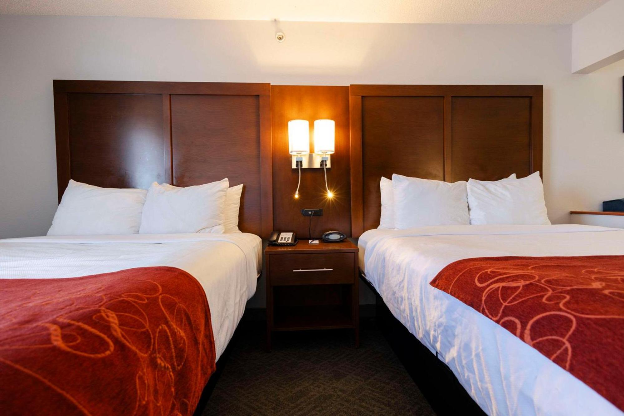 Comfort Suites Springfield Ngoại thất bức ảnh